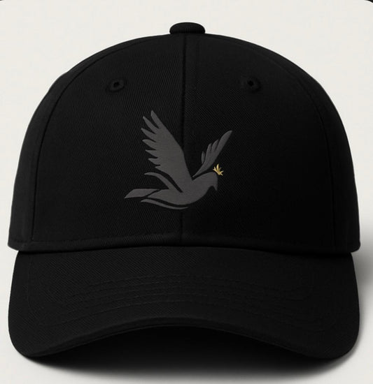 Unisex Distressed Cap