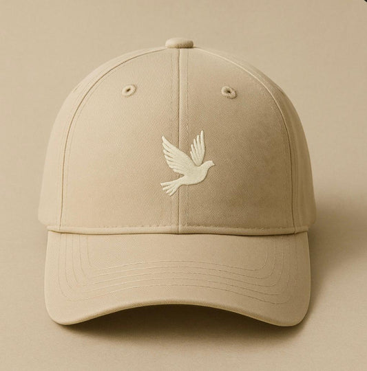 Unisex Distressed Cap